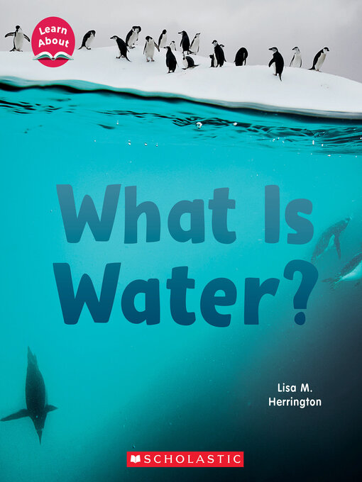 Title details for What Is Water? by Lisa M. Herrington - Wait list